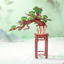 Carica l&#39;immagine nel visualizzatore di Gallery, Puzzle 3D - Bonsai Pino Sempreverde