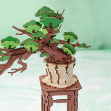 Carica l&#39;immagine nel visualizzatore di Gallery, Puzzle 3D - Bonsai Pino Sempreverde