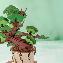 Carica l&#39;immagine nel visualizzatore di Gallery, Puzzle 3D - Bonsai Pino Sempreverde