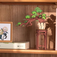 Carica l&#39;immagine nel visualizzatore di Gallery, Puzzle 3D - Bonsai Pino Sempreverde