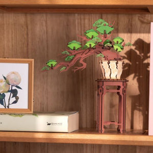 Puzzle 3D - Bonsai Pino Sempreverde