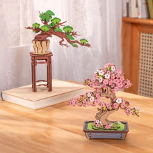 Carica l&#39;immagine nel visualizzatore di Gallery, Puzzle 3D - Bonsai Pino Sempreverde