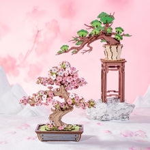 Carica l&#39;immagine nel visualizzatore di Gallery, Puzzle 3D - Bonsai Pino Sempreverde