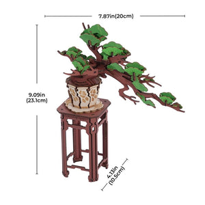 Puzzle 3D - Bonsai Pino Sempreverde