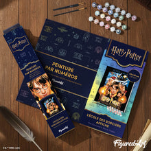 Carica l'immagine nel visualizzatore di Gallery, Dipingere con i numeri - Harry Potter e la Pietra Filosofale - Poster