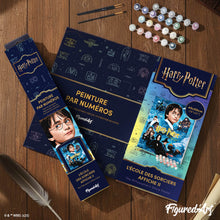 Carica l'immagine nel visualizzatore di Gallery, Dipingere con i numeri - Harry Potter e la Pietra Filosofale - Poster II