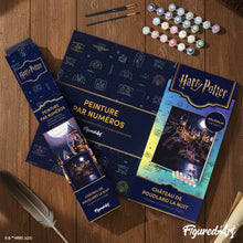 Carica l'immagine nel visualizzatore di Gallery, Dipingere con i numeri - Harry Potter - Castello di Hogwarts di notte