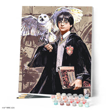 Carica l'immagine nel visualizzatore di Gallery, Dipingere con i numeri - Harry Potter e Edvige