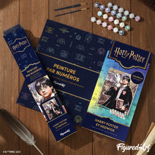 Carica l'immagine nel visualizzatore di Gallery, Dipingere con i numeri - Harry Potter e Edvige
