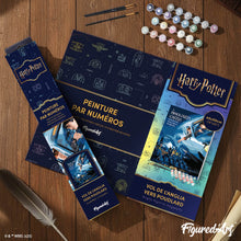 Carica l'immagine nel visualizzatore di Gallery, Dipingere con i numeri - Harry Potter - Volo dall'Inghilterra verso Hogwarts