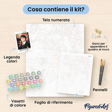 Carica l'immagine nel visualizzatore di Gallery, Dipingere con i numeri - Ritratto di Harry Potter