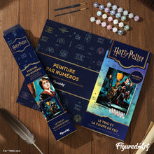 Carica l'immagine nel visualizzatore di Gallery, Dipingere con i numeri - Harry Potter - Il Trio e il Calice di Fuoco