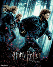 Carica l'immagine nel visualizzatore di Gallery, Dipingere con i numeri - Harry Potter e i Doni della Morte Parte 1 - Poster Figured'Art