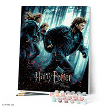 Carica l'immagine nel visualizzatore di Gallery, Dipingere con i numeri - Harry Potter e i Doni della Morte Parte 1 - Poster