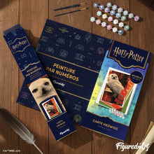 Carica l'immagine nel visualizzatore di Gallery, Dipingere con i numeri - Harry Potter - Carta di Edvige