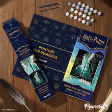 Carica l'immagine nel visualizzatore di Gallery, Dipingere con i numeri - Harry Potter contro Lord Voldemort