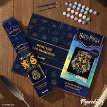 Carica l'immagine nel visualizzatore di Gallery, Dipingere con i numeri - Harry Potter - Stemma floreale di Hogwarts