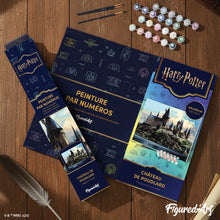 Carica l'immagine nel visualizzatore di Gallery, Dipingere con i numeri - Harry Potter - Castello di Hogwarts