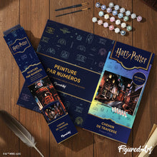 Carica l'immagine nel visualizzatore di Gallery, Dipingere con i numeri - Harry Potter - Diagon Alley