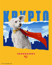 Carica l'immagine nel visualizzatore di Gallery, Dipingere con i numeri - Superman - Krypto con lo skyline Figured'Art