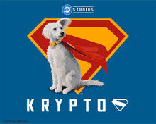 Carica l'immagine nel visualizzatore di Gallery, Dipingere con i numeri - Superman - Krypto con lo scudo “S” Figured'Art