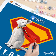 Carica l'immagine nel visualizzatore di Gallery, Dipingere con i numeri - Superman - Krypto con lo scudo “S”
