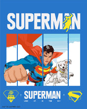 Carica l'immagine nel visualizzatore di Gallery, Dipingere con i numeri - Superman in volo con Krypto Figured'Art