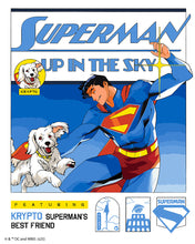 Carica l'immagine nel visualizzatore di Gallery, Dipingere con i numeri - Superman nel cielo Figured'Art