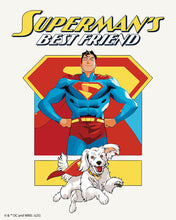 Carica l'immagine nel visualizzatore di Gallery, Dipingere con i numeri - Il miglior amico di Superman Figured'Art