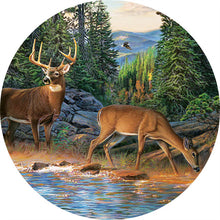 Carica l&#39;immagine nel visualizzatore di Gallery, Puzzle 2D in legno - Cervo nella Natura