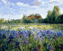 Carica l'immagine nel visualizzatore di Gallery, Dipingere con i numeri - Campo Di Campagna E Fiori Blu