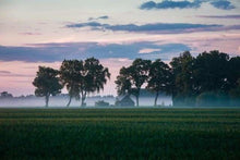 Carica l'immagine nel visualizzatore di Gallery, Dipingere con i numeri - Alberi Nella Nebbia