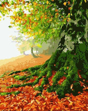 Carica l'immagine nel visualizzatore di Gallery, Dipingere con i numeri - Albero Del Secolo