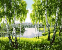 Carica l'immagine nel visualizzatore di Gallery, Dipingere con i numeri - Alberi Vicino Al Fiume