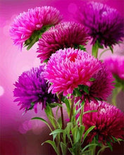 Carica l'immagine nel visualizzatore di Gallery, Dipingere con i numeri - Fioritura Aster Autunnale