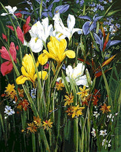 Carica l'immagine nel visualizzatore di Gallery, Dipingere con i numeri - In mezzo ai fiori