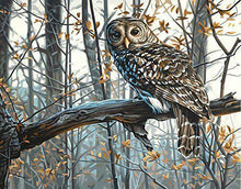 Carica l'immagine nel visualizzatore di Gallery, Dipingere con i numeri - Gufo Nella Foresta