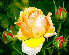 Carica l'immagine nel visualizzatore di Gallery, Dipingere con i numeri - Rosa gialla