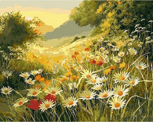 Carica l'immagine nel visualizzatore di Gallery, Dipingere con i numeri - Campo di margherite sotto al sole