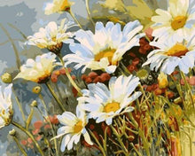 Carica l'immagine nel visualizzatore di Gallery, Dipingere con i numeri - Campo Di Margherite In Primavera