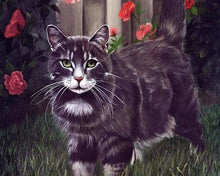 Carica l'immagine nel visualizzatore di Gallery, Dipingere con i numeri - Gatto Nero