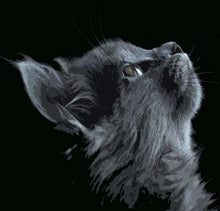 Carica l'immagine nel visualizzatore di Gallery, Dipingere con i numeri - Gatto Nero Che Guarda All'Insù