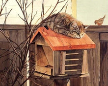 Carica l'immagine nel visualizzatore di Gallery, Dipingere con i numeri - Gatto Appollaiato
