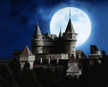 Carica l'immagine nel visualizzatore di Gallery, Dipingere con i numeri - Castello E Luna Piena