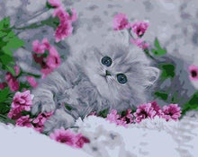 Carica l'immagine nel visualizzatore di Gallery, Dipingere con i numeri - Gattino Tra I Fiori