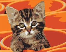 Carica l'immagine nel visualizzatore di Gallery, Dipingere con i numeri - Dipinto Di Piccolo Gatto