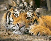 Carica l'immagine nel visualizzatore di Gallery, Dipingere con i numeri - Gattini E Tigre
