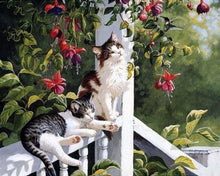 Carica l'immagine nel visualizzatore di Gallery, Dipingere con i numeri - Gatti E Colibrì