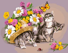 Carica l'immagine nel visualizzatore di Gallery, Dipingere con i numeri - Gatto Che Gioca Con Una Farfalla