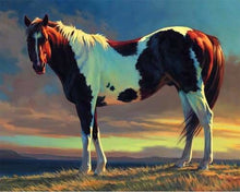 Carica l'immagine nel visualizzatore di Gallery, Dipingere con i numeri - Cavallo Bianco E Marrone
